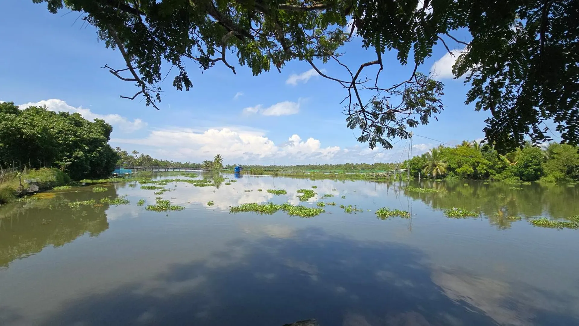 Pradeep'S Backwater Villa Kochi